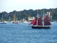 sailboats on the water